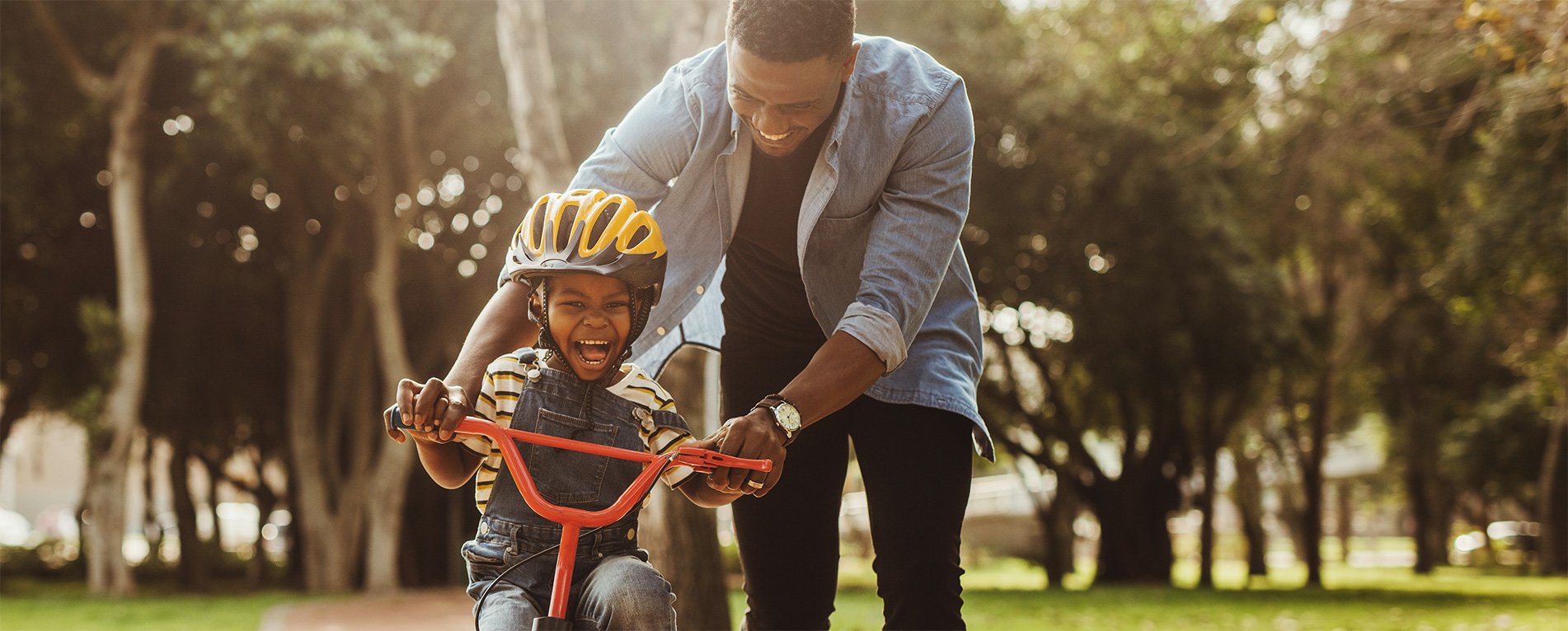 Personal Family Lawyer